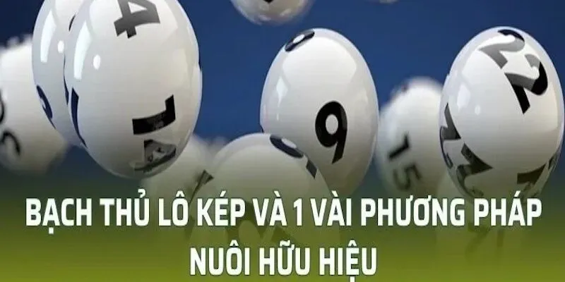 Lô bạch thủ kép thực chất là những con lô bạch thủ